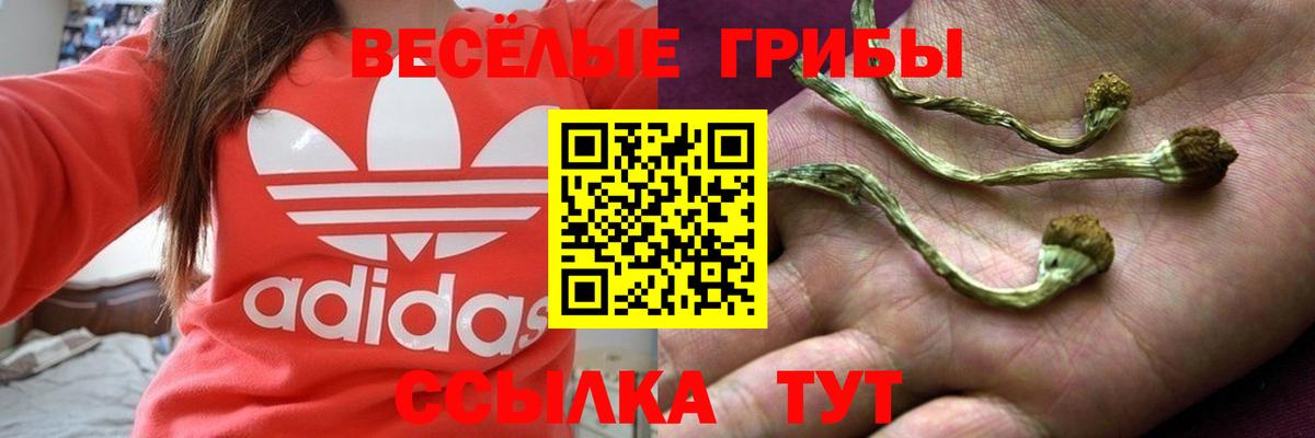 Кузнецк  Псилоцибиновые грибы мицелий  как найти   Псилоцибиновые грибы MAGIC MUSHROOMS  Вход с VPN 