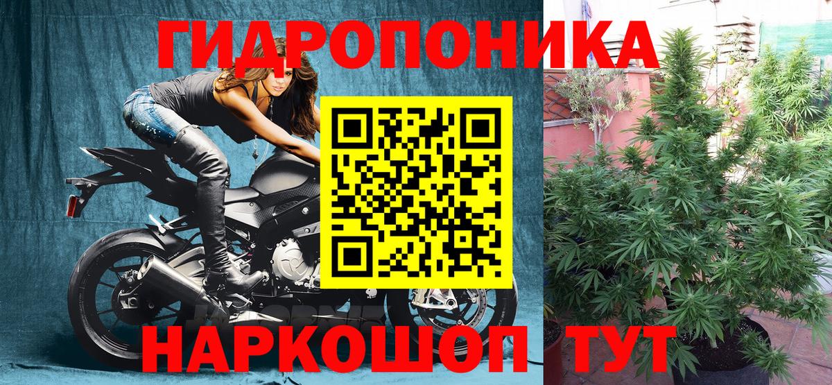 МАРИХУАНА план  Бошки Шишки конопля  Вход с VPN  Каннабис план  Кузнецк 